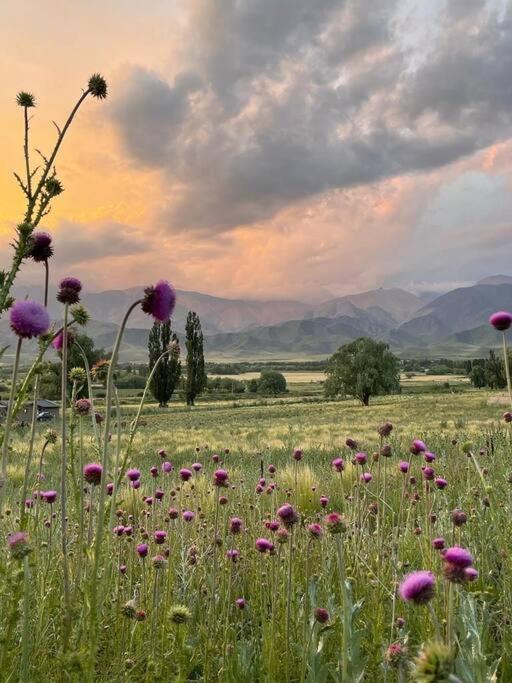 La Carrera Villas, Atamisque. Tupungato, Mendoza. Lujan de Cuyo Exteriér fotografie