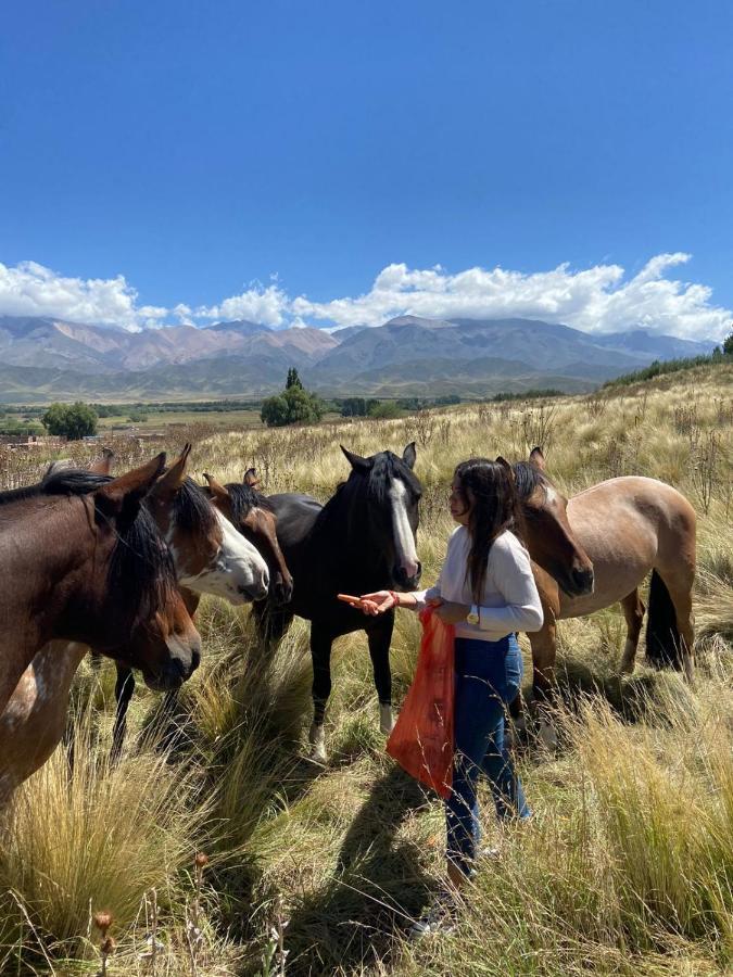 La Carrera Villas, Atamisque. Tupungato, Mendoza. Lujan de Cuyo Exteriér fotografie